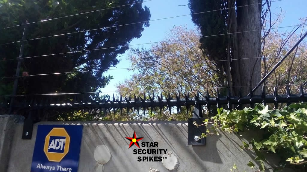 Star Wall Spikes with supporting Electric fencing Black