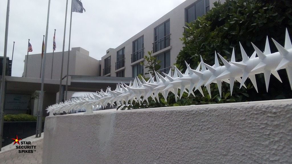 Wall Spikes Double row in Parklands