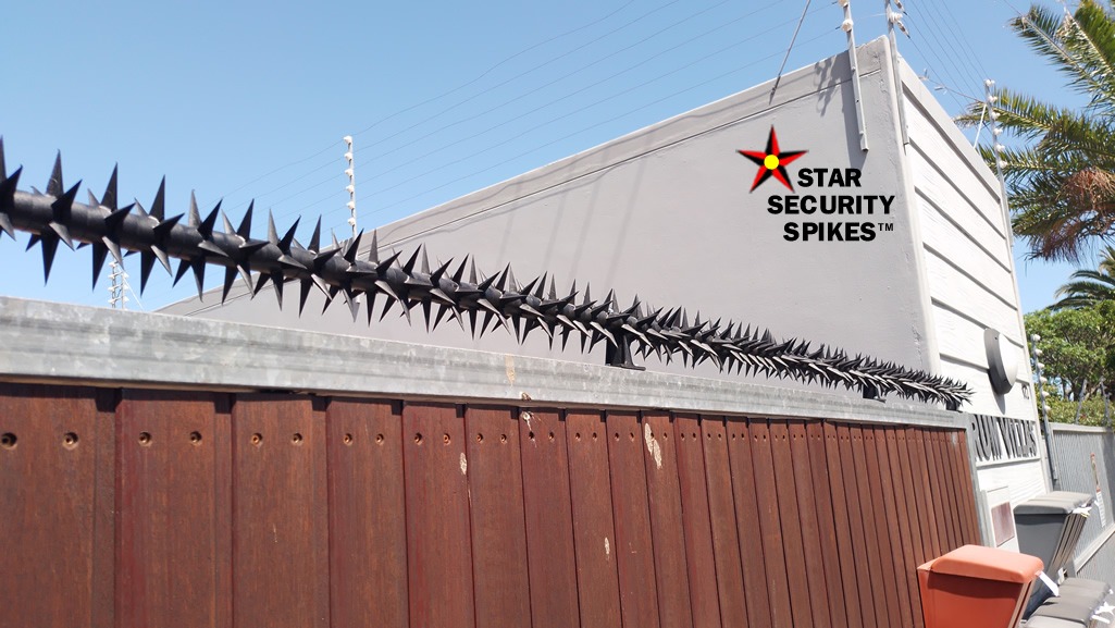 Security Spikes on Wooden Gate