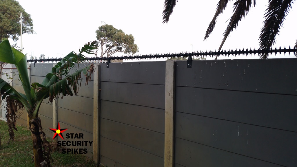 Concrete Spikes installed in Ottery